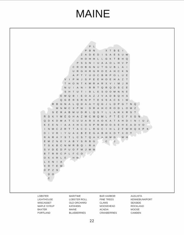 USA Word Search for Adults