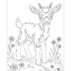 monochrome coloring book spring baby animals monochrome coloring book spring baby animals
