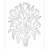 Floral Monochrome Coloring Book for Adults